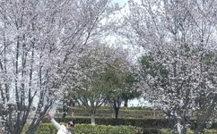 青紫色粗大进出噗嗤师傅